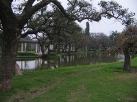 Bosques de palermo - BsAs
