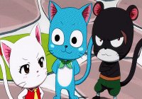 FT - Exceeds