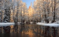 Paisaje de Invierno 6