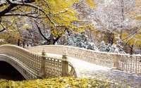 Central Park, NY en invierno