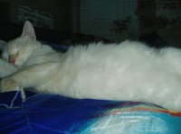 niño dormido