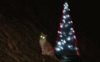 niña navidad