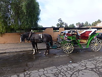 Calèche