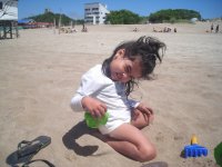 gesell