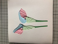 My Album