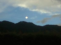 Luna Bogota