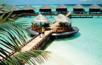 maldive