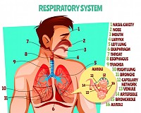 la respiraciÃ³n