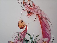 My Album