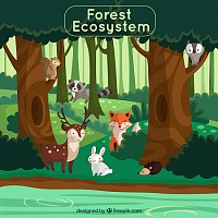Rompecabezas de animales