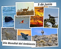 Ambiente Chubut