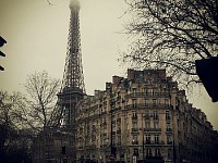My Album