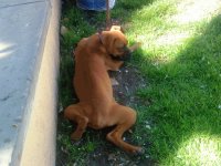 kimy