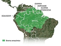 AmazÃ´nia