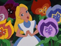 Alicia y las flores