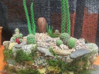 Pirca de piedra