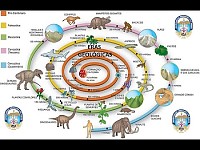 Era Geologicas