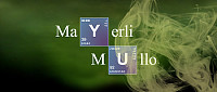 My Album