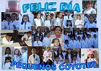 PEQUEÃ‘OS COYOTES