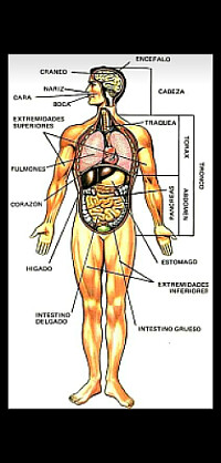 Materiales DidÃ¡cticos