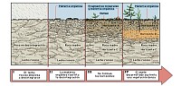 Ambiental