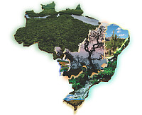 VegetaÃ§Ã£o do Brasil