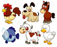 Los animales Domesticos
