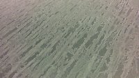 Ice on the car