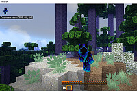 BaldGamer888310