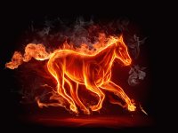 cavalo de fogo
