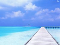 Pier Review