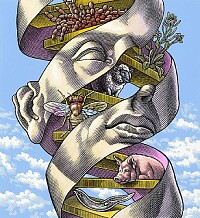DNA