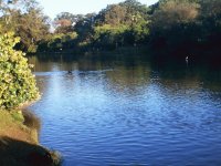 Lago do Parque Ibirapuera - São Paulo - Brasil