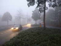 A puzzle for traffic in the fog-weather