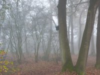 Jigsaw puzzle with fog