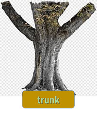 A tree is a plant