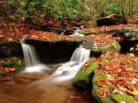 Wesser Creek In Autumn, NC