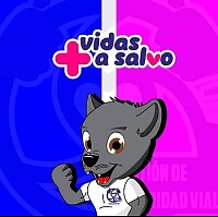 My Album