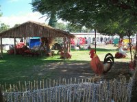 Strange nativity scene