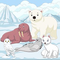 Animale polare