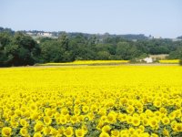 Dordogne