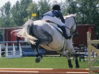 Horse Riding