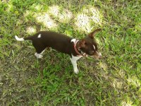Queenny en el campo