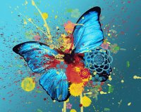mariposass