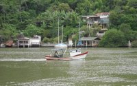 Bote de pesca