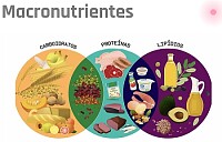 Ciências