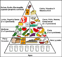 PIRÁMIDE ALIMENTICIA