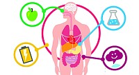 Bioquimica