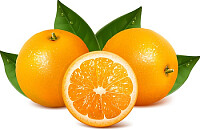 citrus