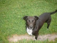 Moro